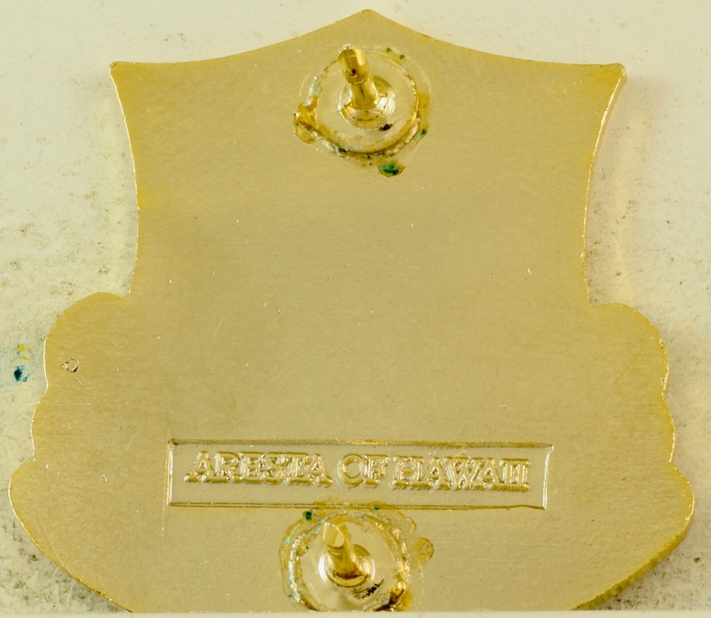 343rd Engineer Battalion Crest DI/DUI CB Aresta HM