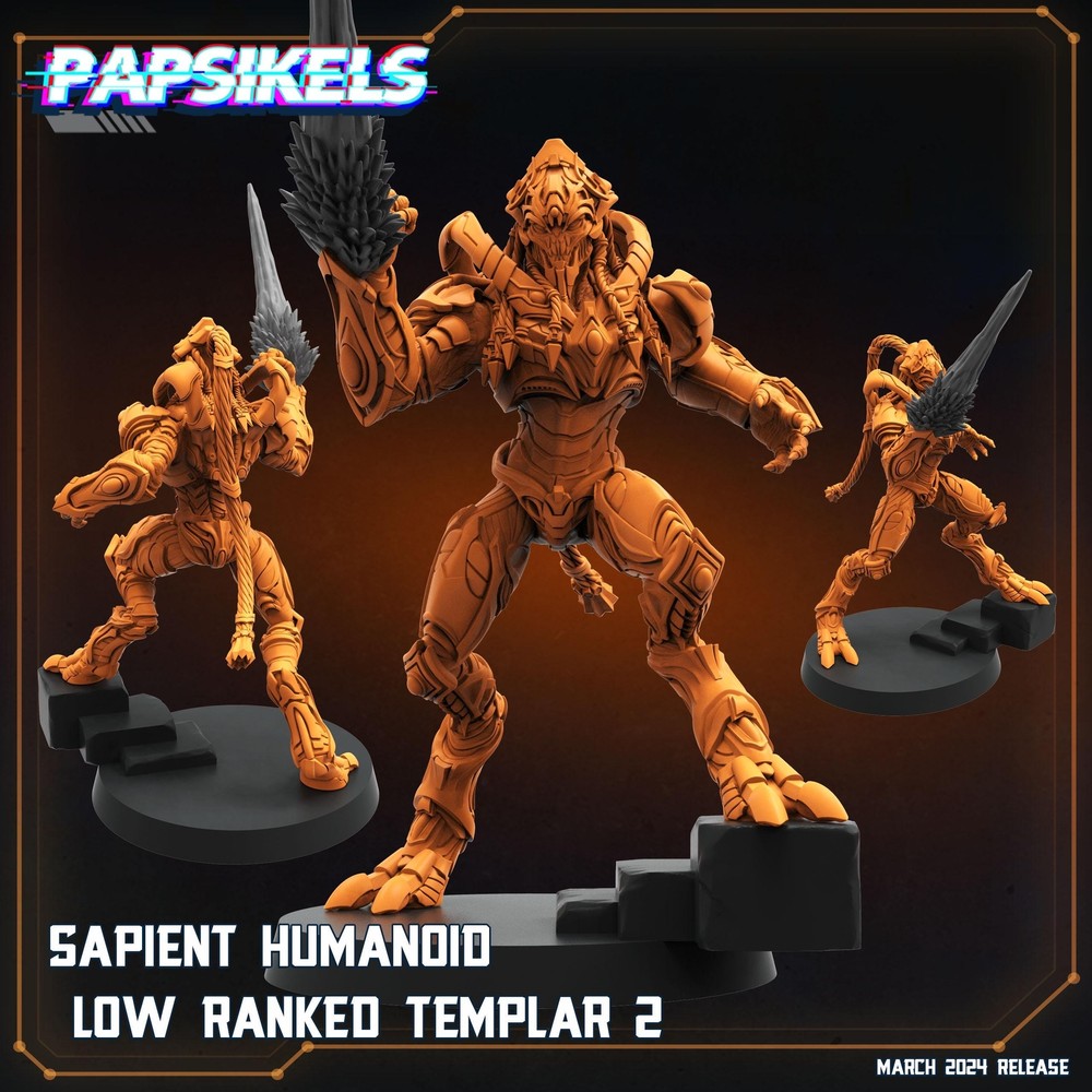 Sapient Humanoid Low Ranked Templar - 02