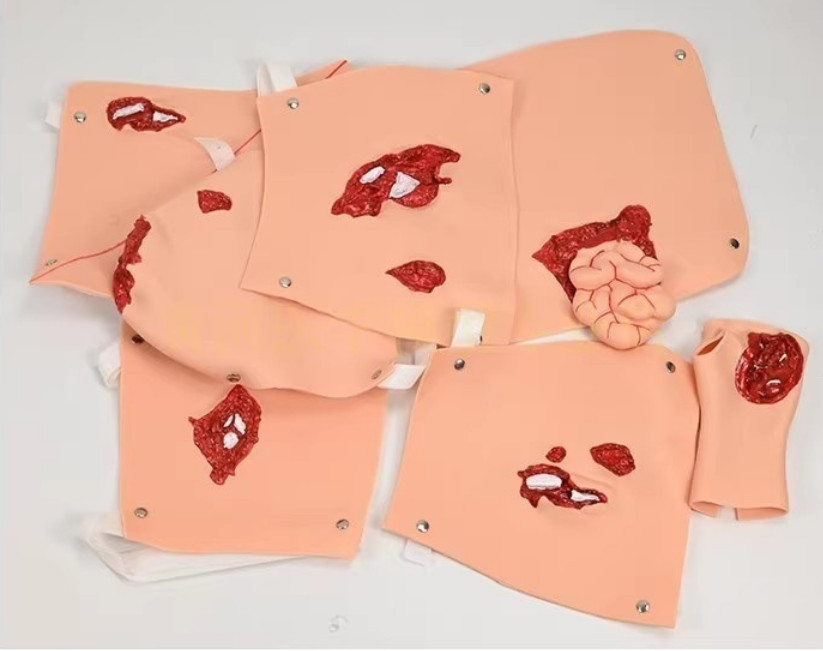 16Pc Trauma Evaluation Module First Aid Simulation Training Model Emergency Care