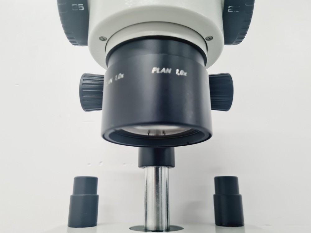 Leica M8 WILD Stereo Zoom Microscope Lab