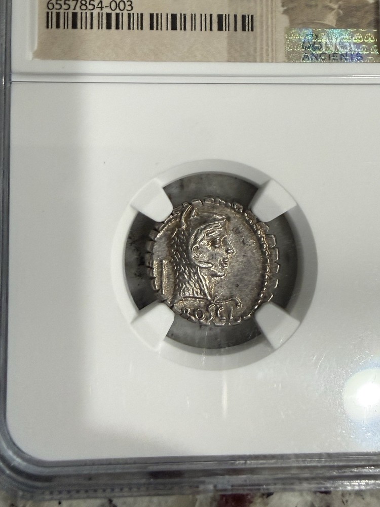 L Rosc Fabatus AR Denarius Serrated NGC Ch AU 5/5 5/5 64/59 BC