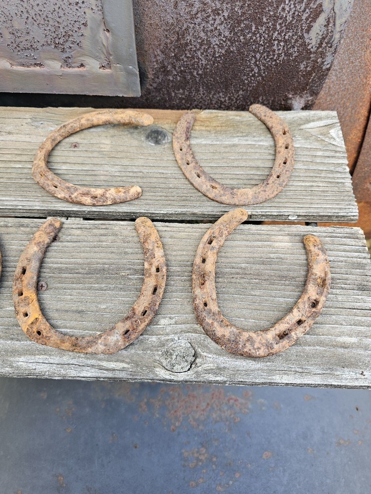 Rustic Horseshoes