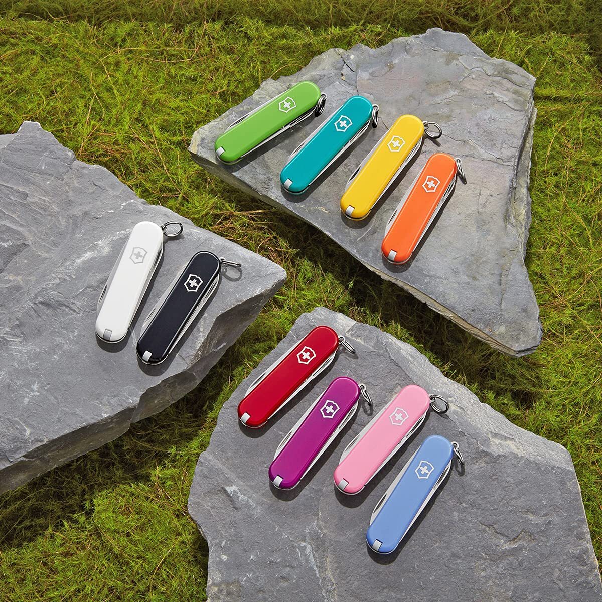 Victorinox Tweezers, Small pack of 6