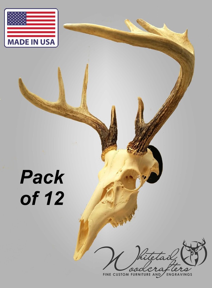 12 Pack Metal European Mount Deer Skull Hanger Bracket Hook