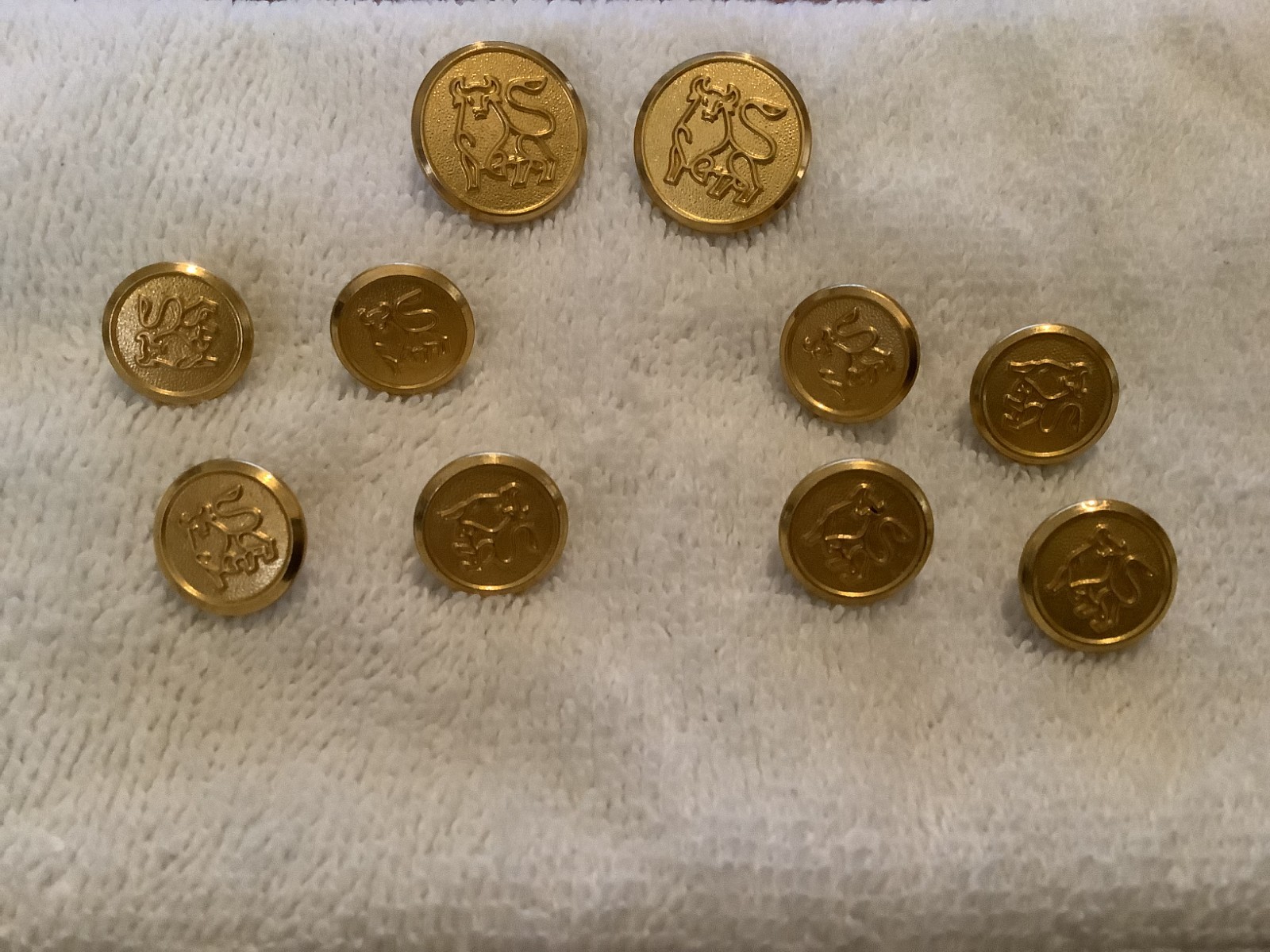 Lot of 10 Vintage Merrill Lynch Bull Logo Jacket Buttons Waterbury Co.