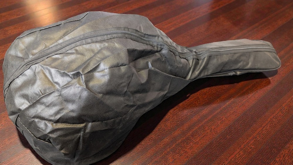 1 x Turkish Oud Basic Soft Case