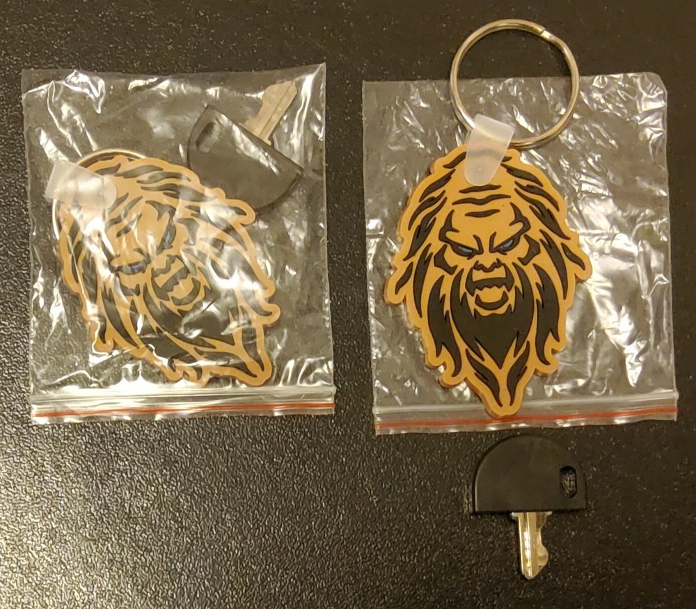 Replacement Mobility Scooter (2) Keys With Keychains  (Fits PRIDE)