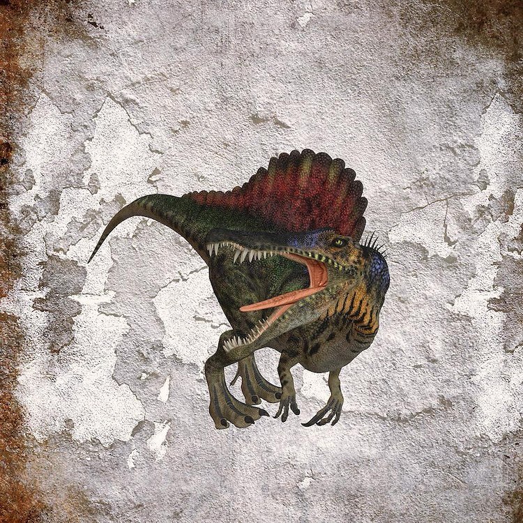 CafePress Spinosaurus 10" Wall Clock (1252813103)
