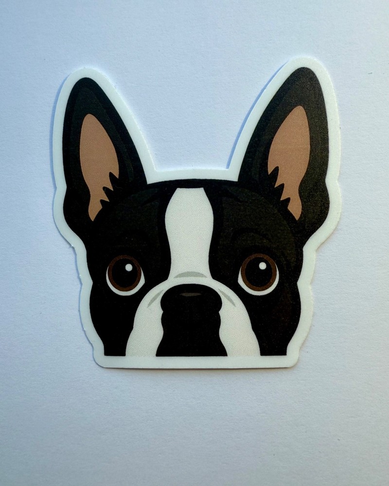 Boston Terrier Peeking Sticker