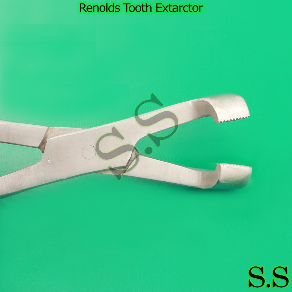 RENOLDS Tooth Extractor UPPER 37 Veterinary Instruments