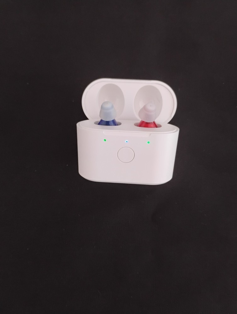 TWO RECHARGEABLE  3 PROGRAMS  MINI HEARING AIDS/AMPLIFIERS  with noise reduction