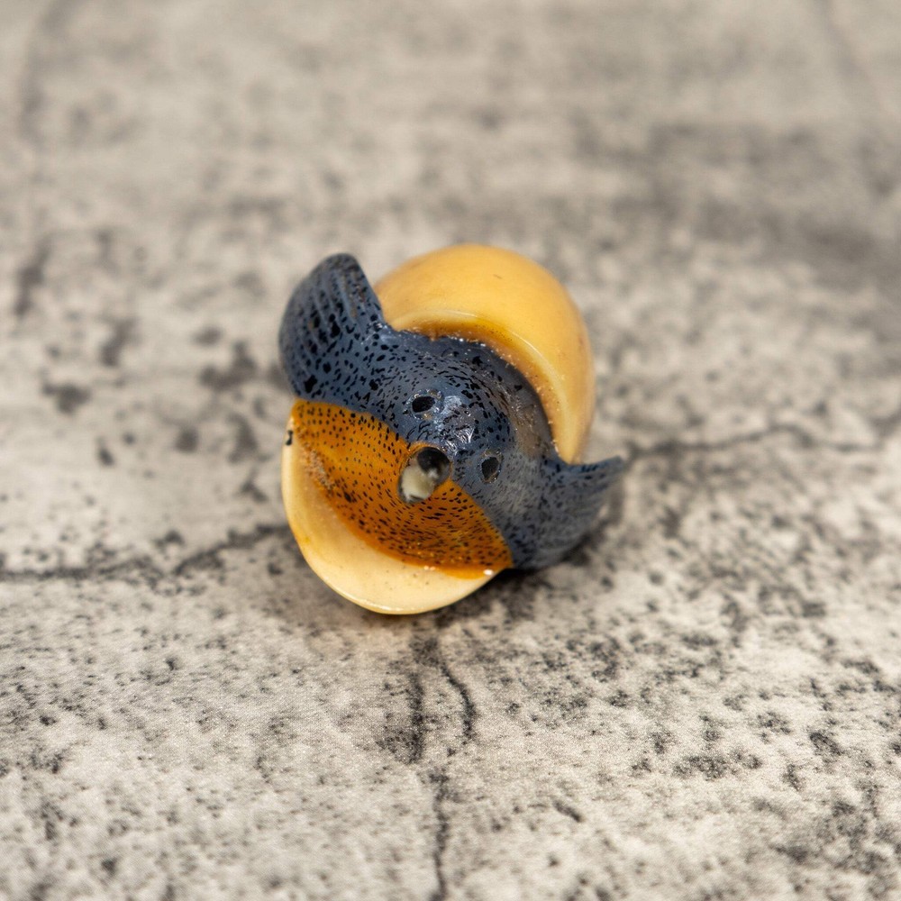 Seed Eater Bird Emerging Egg Tagua Carving
