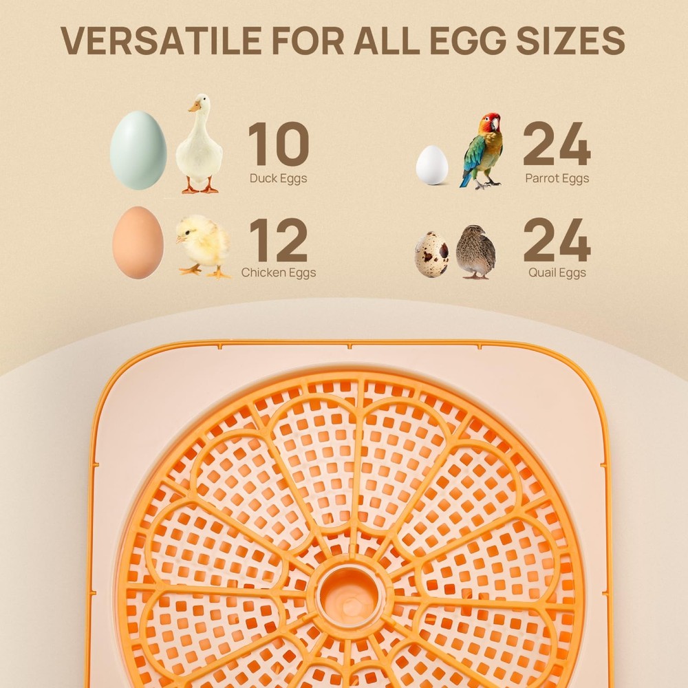 12 Egg Incubator with Automatic Egg Turning, Incubator for Hatching Eggs with...
