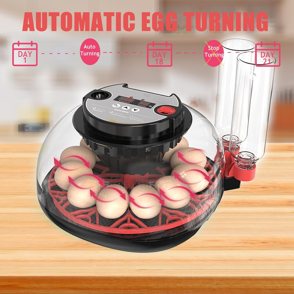 Incubators for Hatching Eggs, 12 Egg Incubator with Automatic Egg Turning and Hu