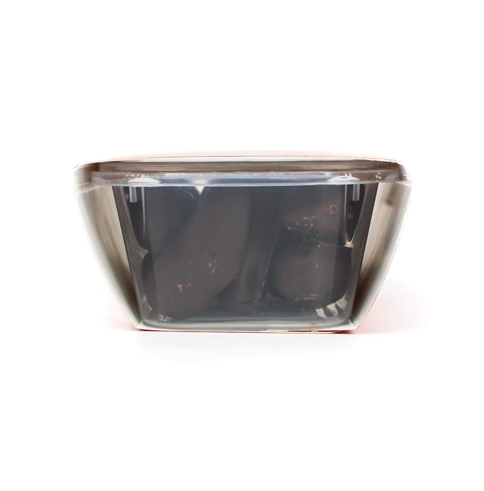 Dark Chocolate Covered Dates, 4.94 OZ