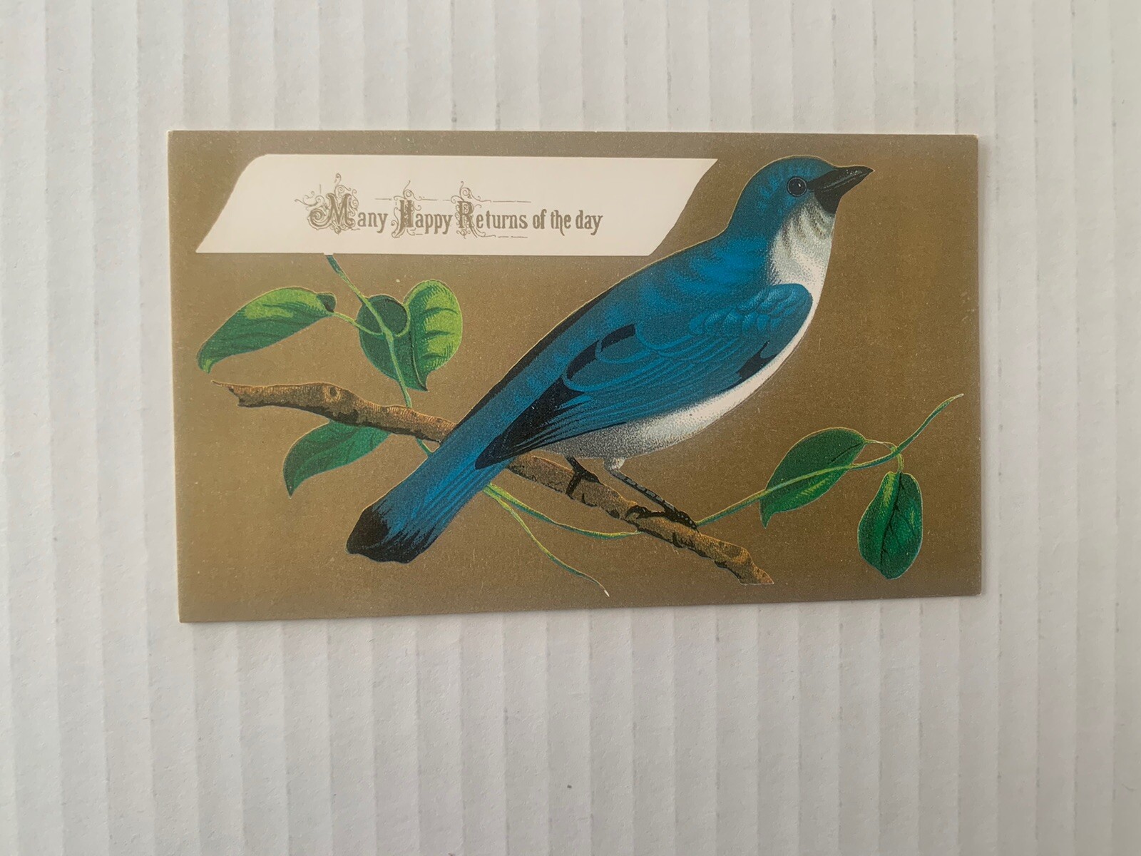 Vintage 2.75” x 4.75” Bluebird Ephemera Message Card Unused Front & Back London