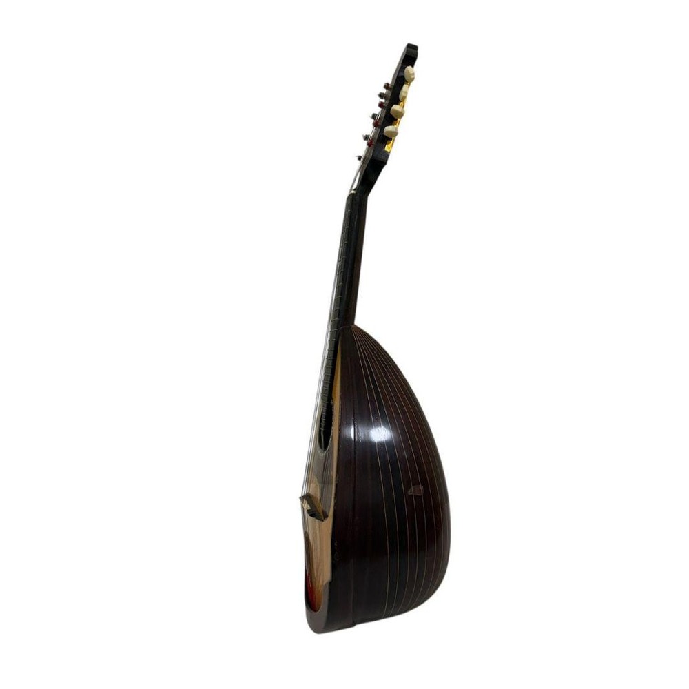 Tadao Ochiai Mandolin 1971 with hard case