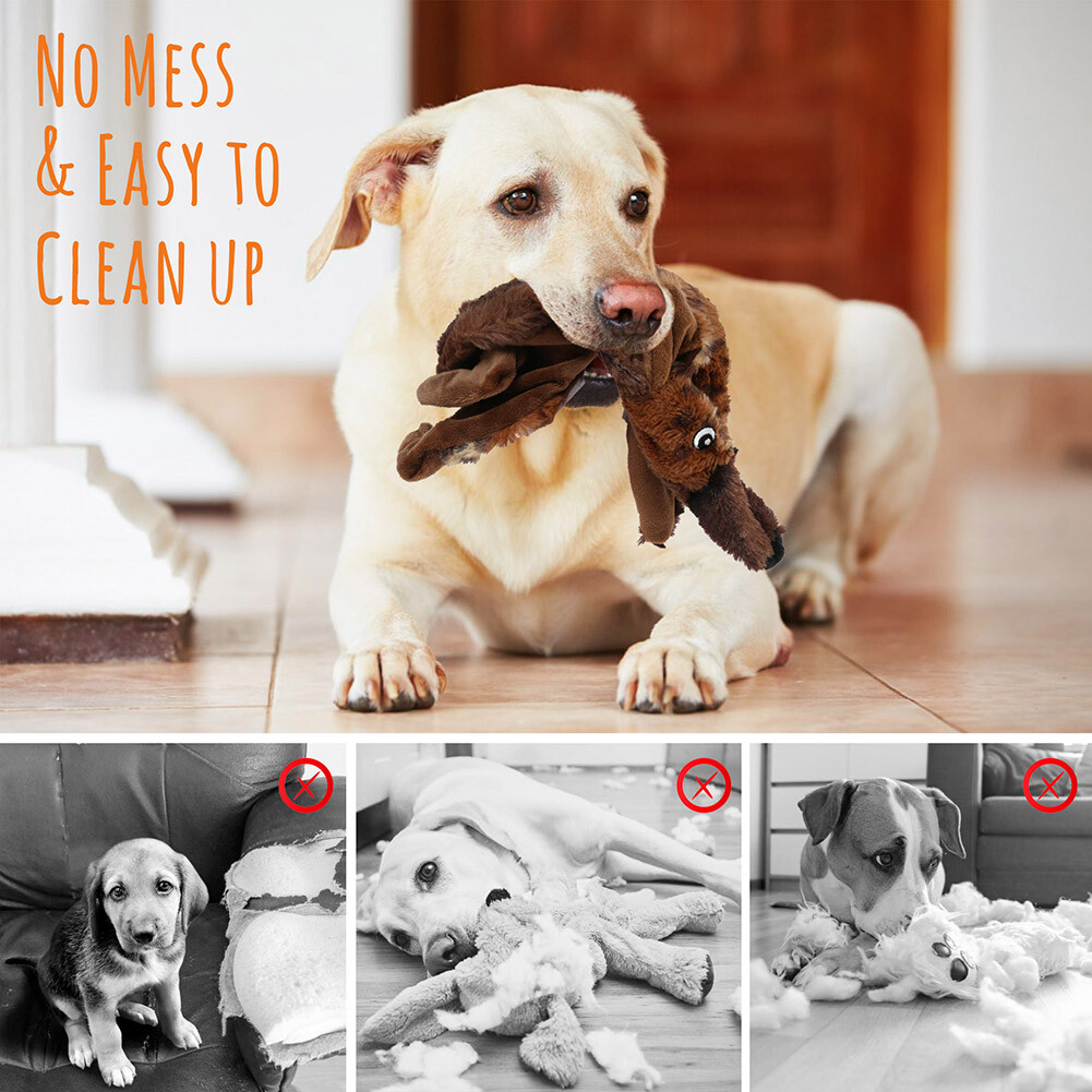 Dog Squeaky Toys 5 Pack Pet Toys Crinkle Dog Toy No Stuffing Animals Plush Chew