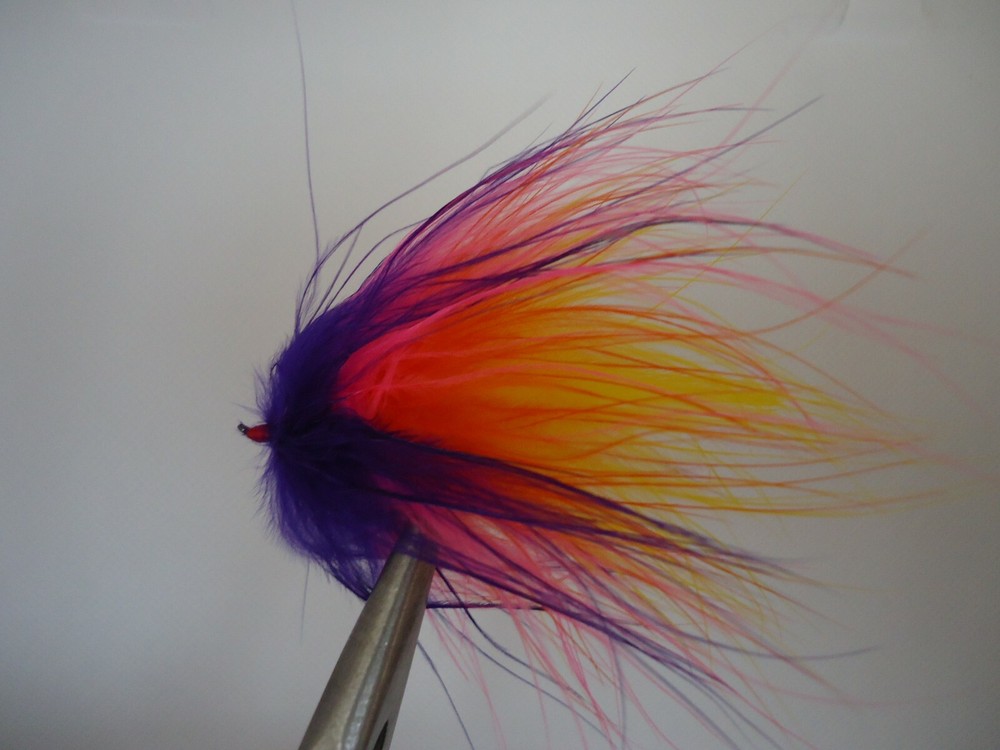 Pacific Salmon Fly Size 6  Popsicle