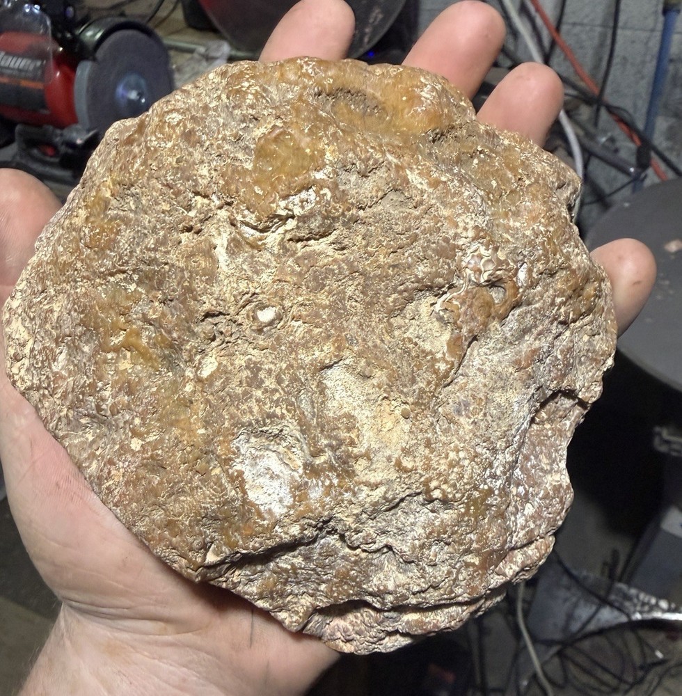 Large Polished Kentucky Agate Display Decor Bookend 2lb 11oz Statement Piece🔥
