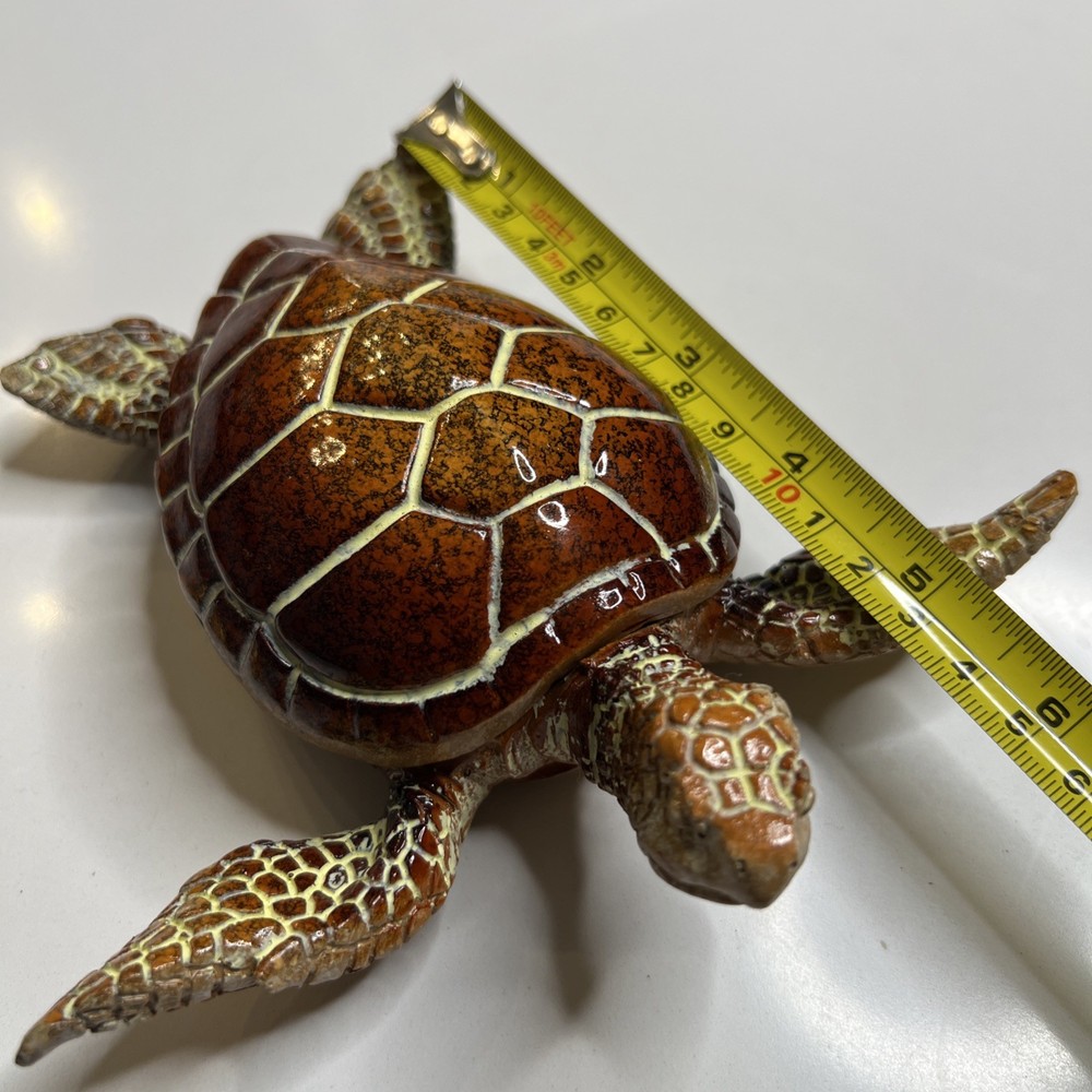 Turtles 5 Pieces Sea Turtles
