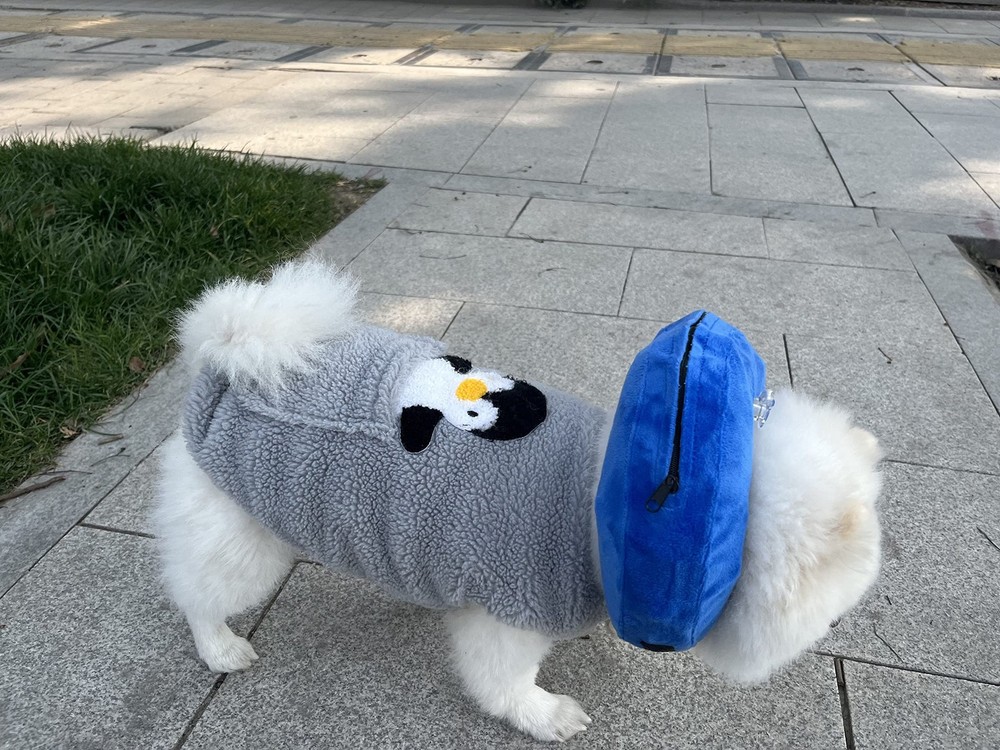 Small Inflatable Pet Collar Adjustable Alternative to Cone Post-Surgery Recovery