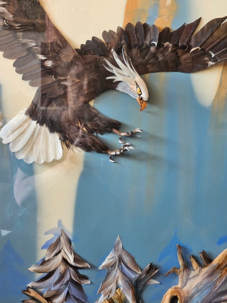 Multi Media 3D Bald Eagle in Flight Shadow Box Framed 37" x 33"