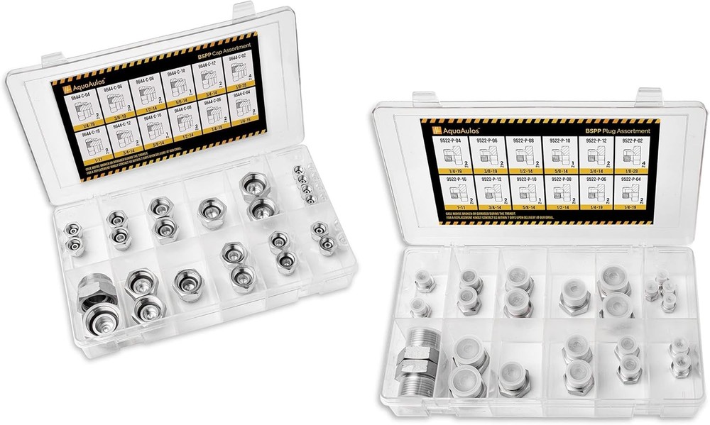 48 Pcs. BSPP Cap & Plug Assortment Hydraulic Adapter Fitting Kit Set, Silver