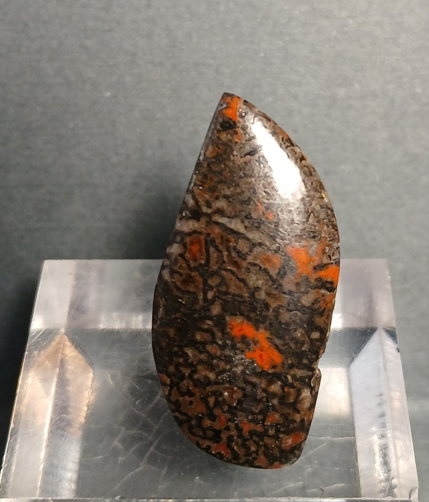 Dinosaur Bone Cabochon - Red, Red Cells!!!