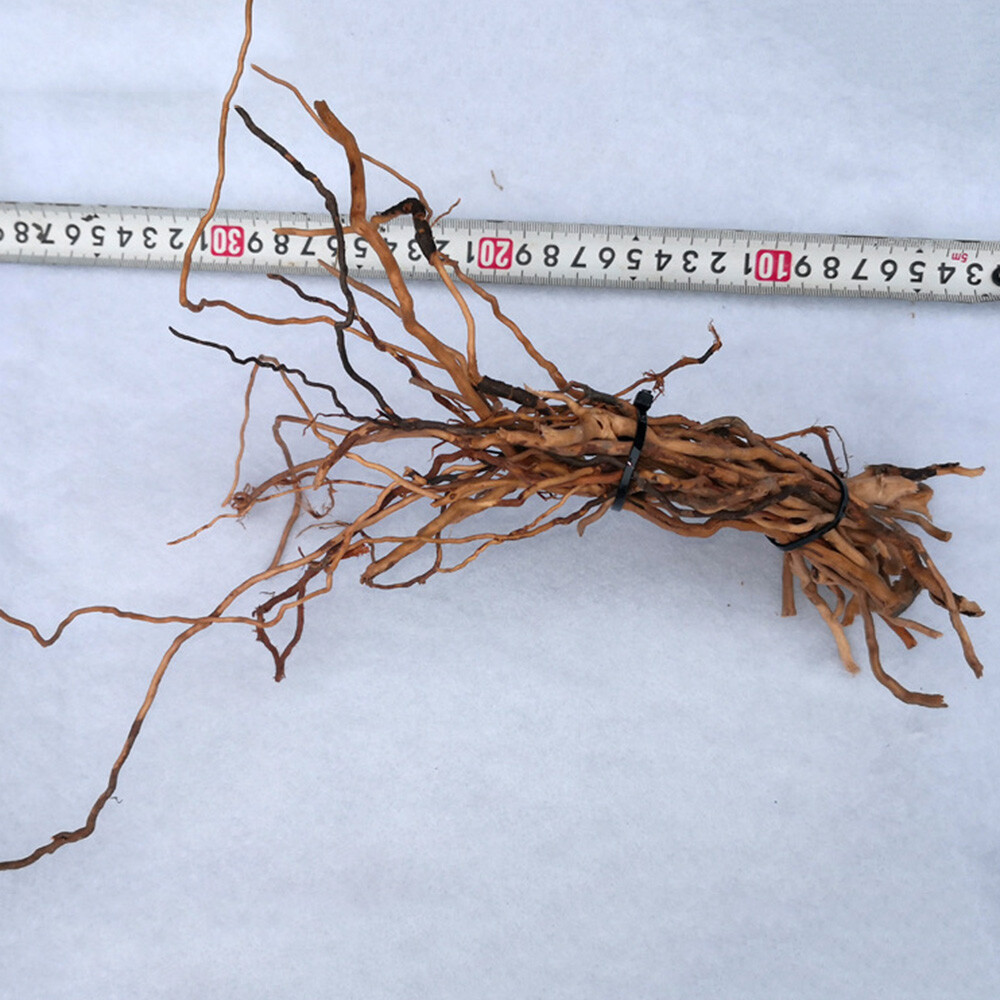 US Natural Driftwood Aquarium Root Trunk Tree Fish Tank Landscape Plant Roots