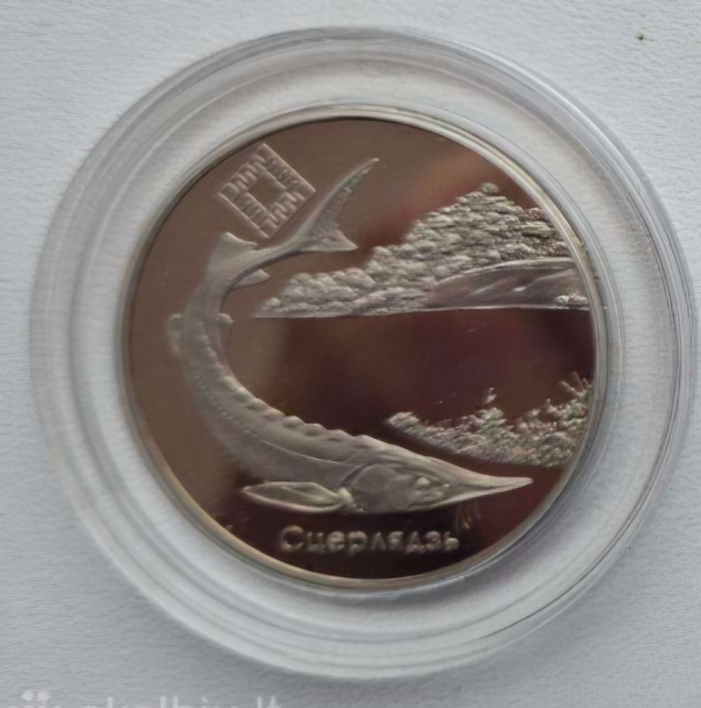 belarus coin rubel 2007