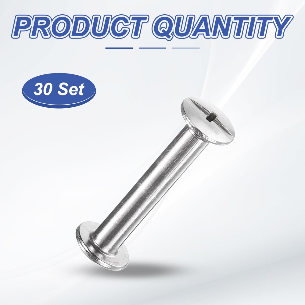 30set Phillips Chicago Screw M3x22mm Binding Post Screw, Silver
