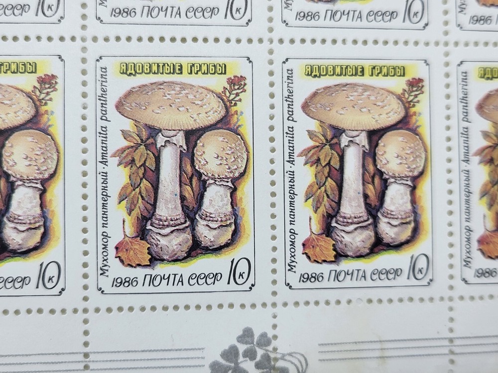 Vintage USSR Postage Stamps Poisonous Mushrooms USSR Various