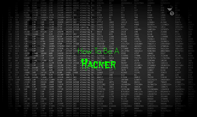 LEARN TO HACK ALL TOOLS YOU NEED FOR YOUR PC - 2500+ TOOLS HACK ANY PC BRUTE !@!