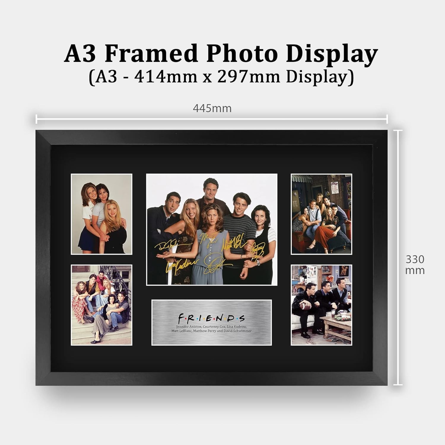 Friends TV Show Cast Wall Art - Autographed Display 16x12 Inches
