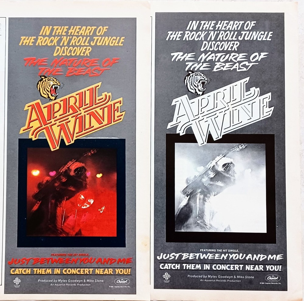 APRIL WINE LOT~NATURE OF THE BEAST~1981 ALBUM PROMO~VTG PRINT AD ADVERT CLIPPING