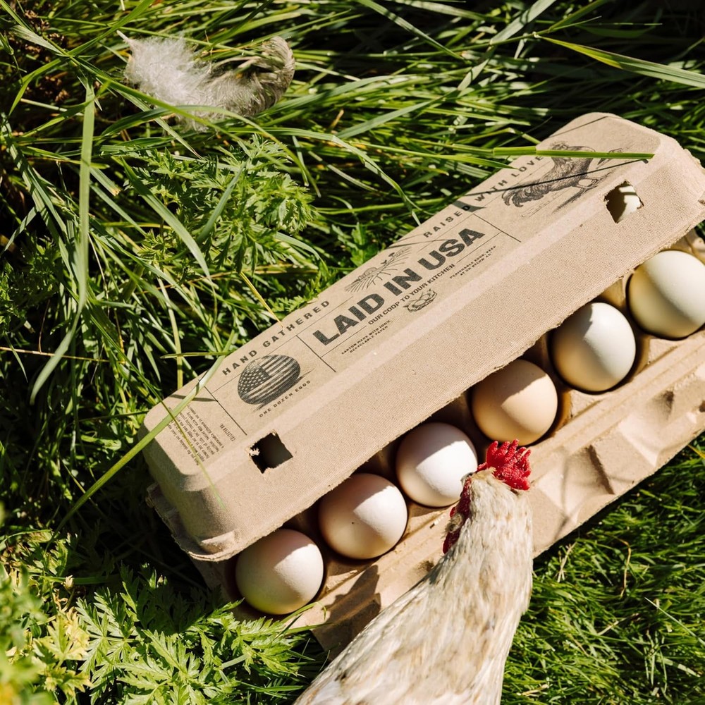 Hatortempt Bulk Egg Cartons - 24-Pack, Reusable 12-Count Basket - 24-Pack