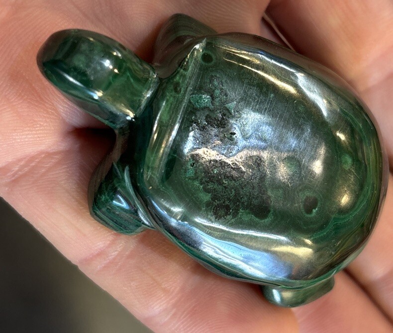 2” Malachite Turtle
