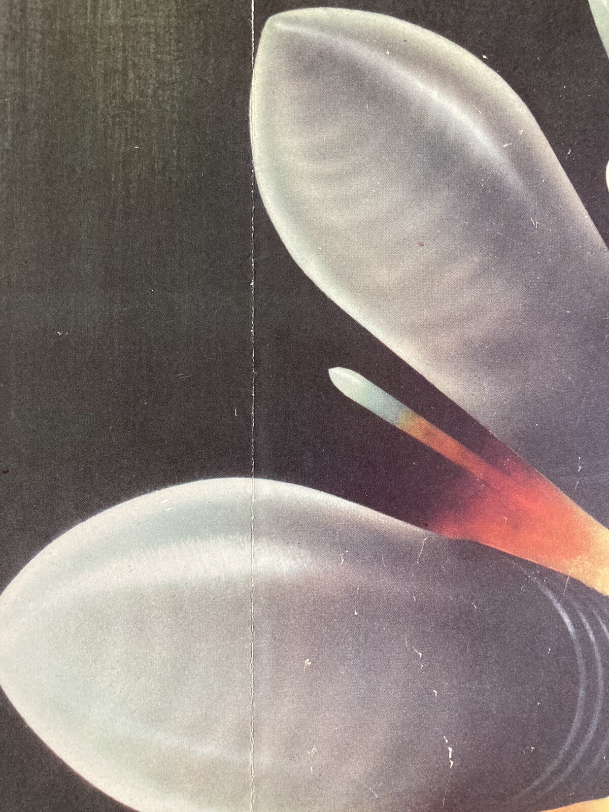 RARE Original “Save Waste Fats For Explosives” WWII Henry Koerner poster