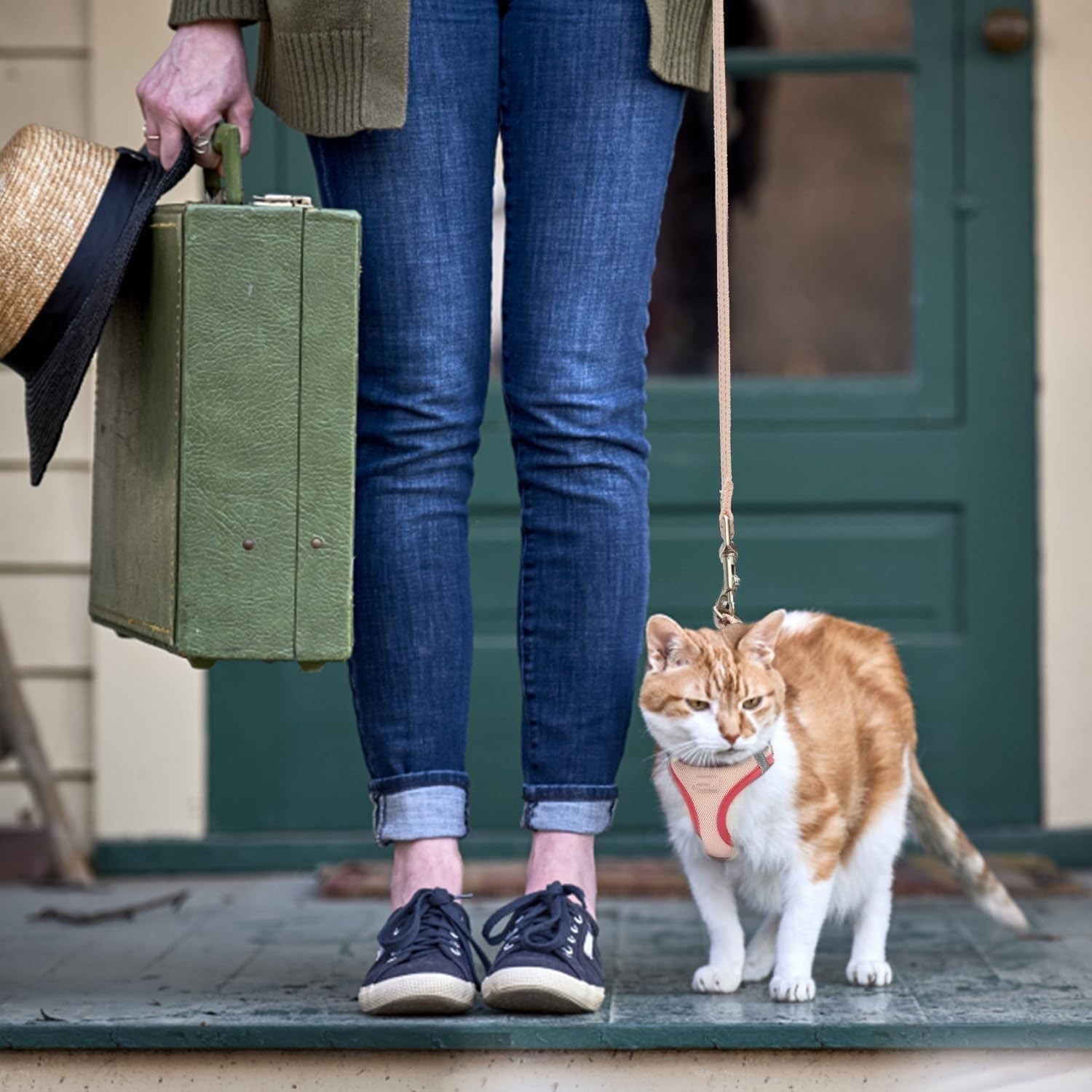 Cat Harness and Leash Set,Soft&Breathable Vest (Purple,Chest:15.5''-17')