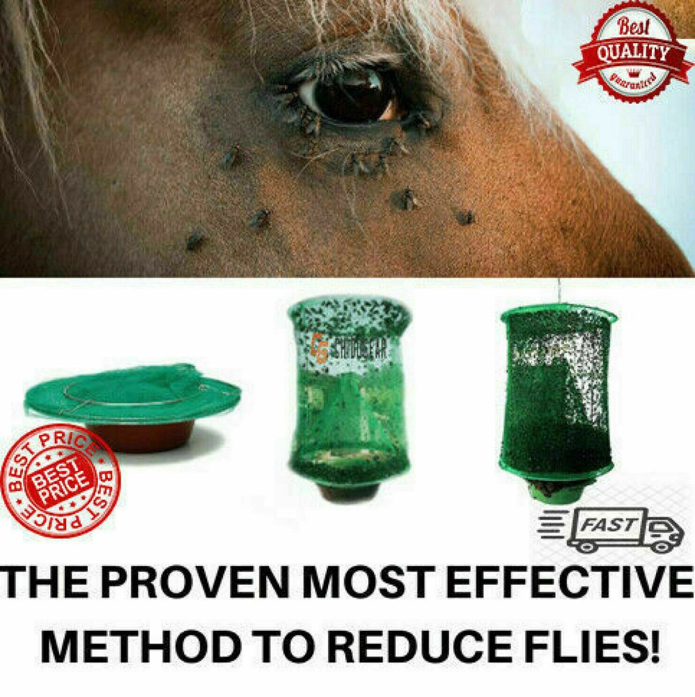 2 Pcs Ranch Fly Trap Reusable Catcher Killer Cage Net Pest Bug Hanging Catch US
