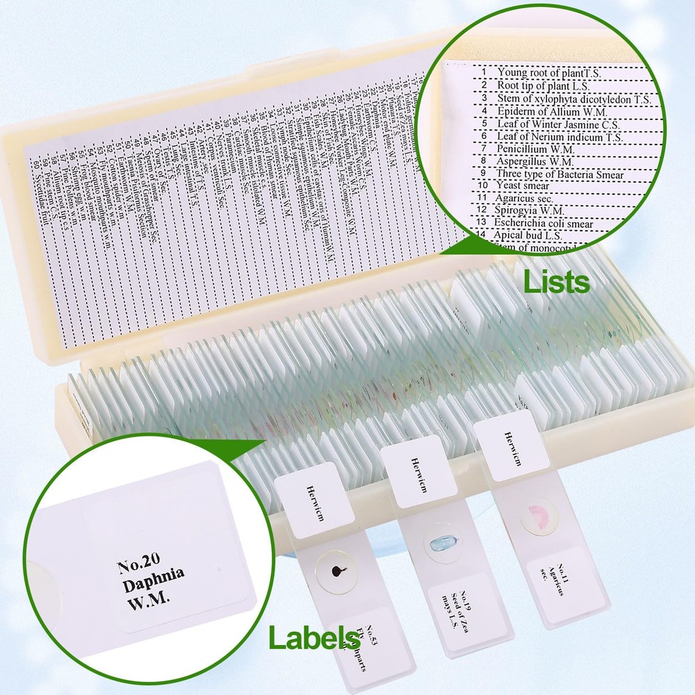 60 Pieces Prepared Microscope Slide Set with Specimens, Plant Animal Cell Sci...