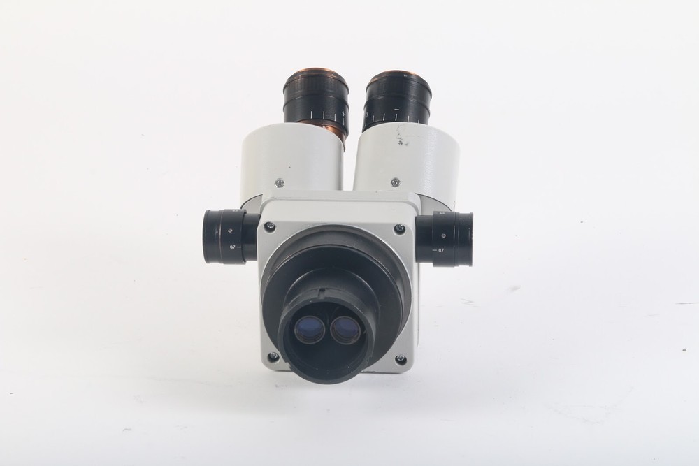 Omano Stereozoom Binocular Microscope Head