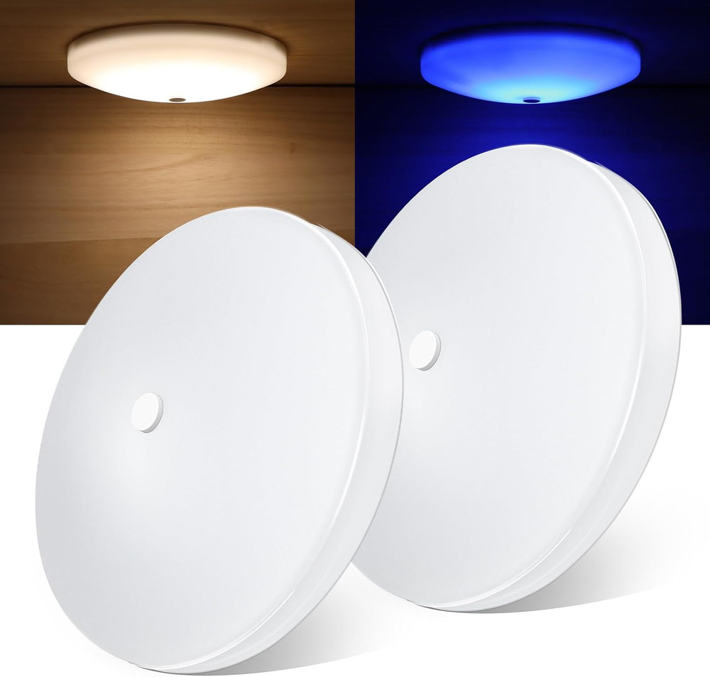 2 Pack RV Interior Ceiling Dome Light 4.5 Inch, Press Dimmer Switch & Blue Night