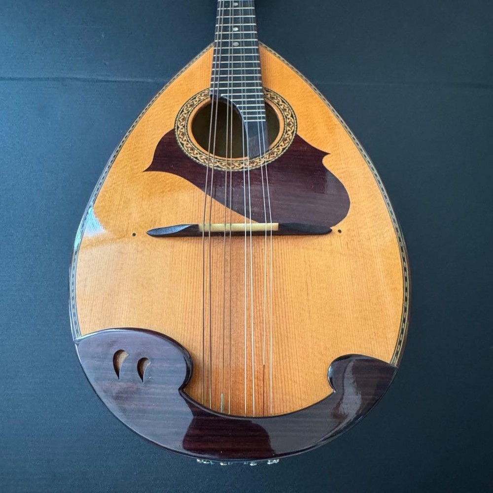 [Hard case ] SUZUKI Mandolin M-215