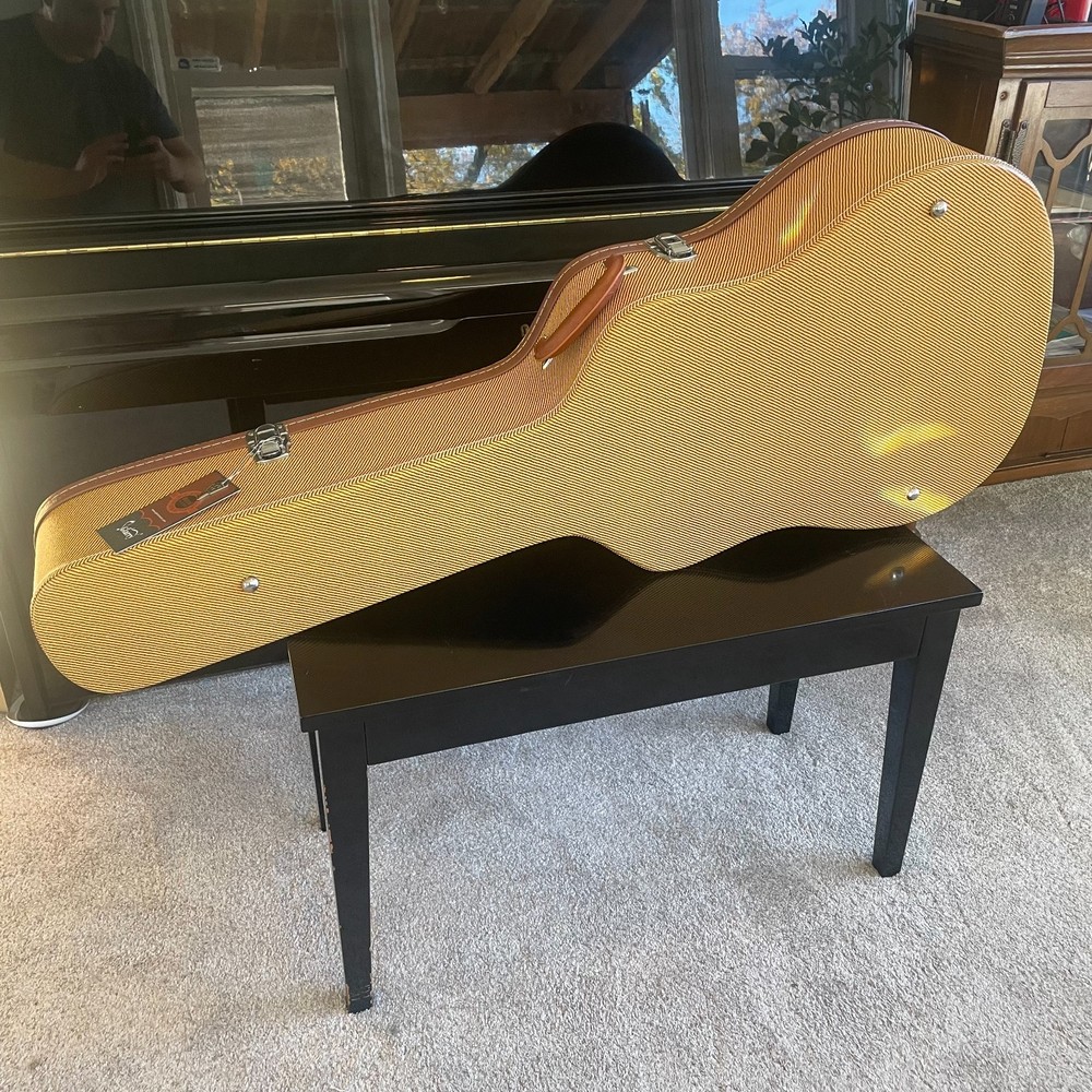 Hard-Shell Lockable Dreadnought Acoustic Guitar Case with Black Plush Interior