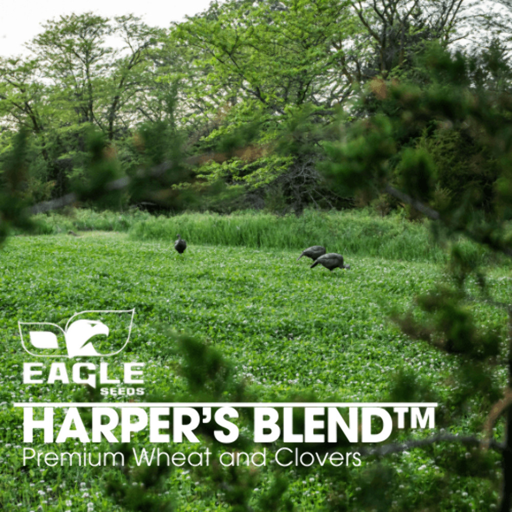 Eagle Seed Harper’s Blend™ for Deer | Food Plot Habitat Seed