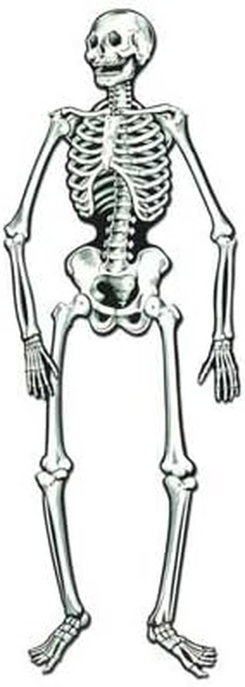 Jointed Skeletons - 22"