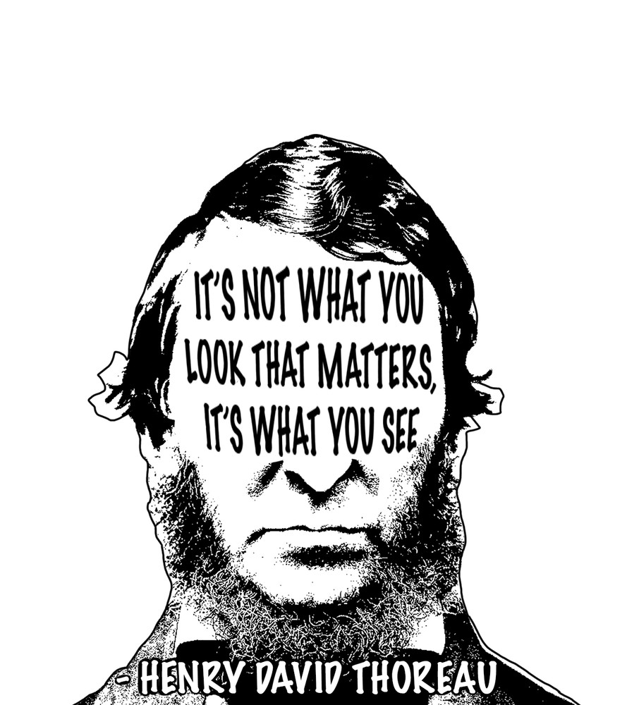 Henry David Thoreau Quote Stickers