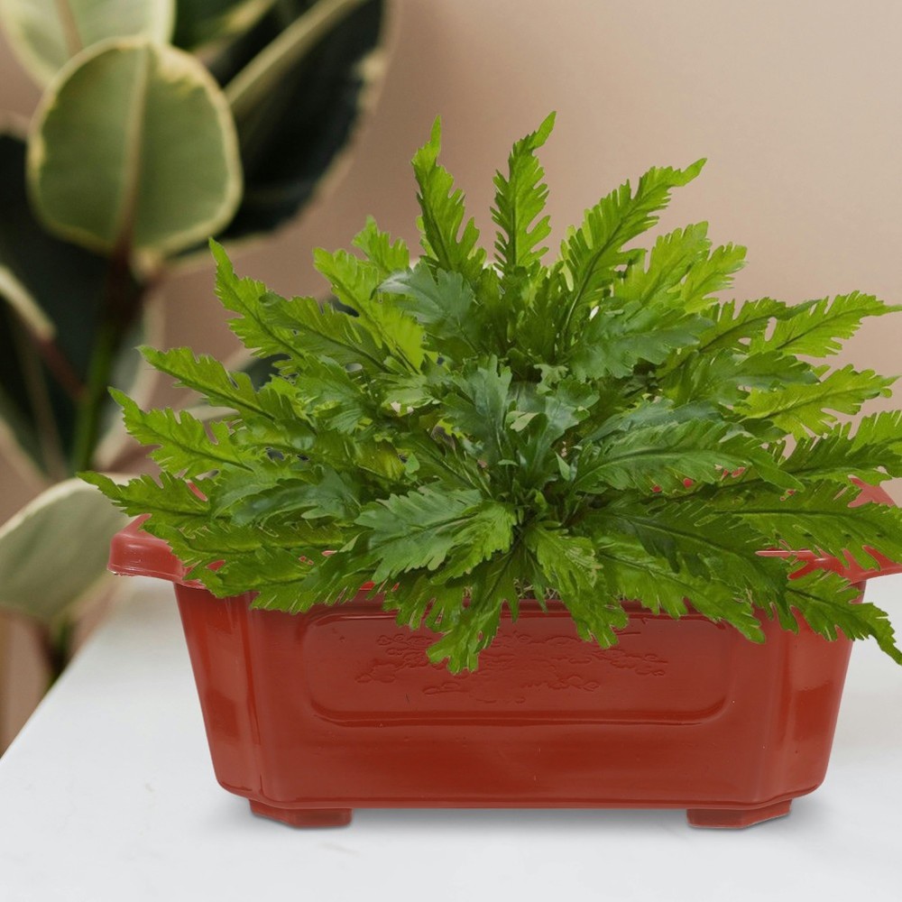 10 Pcs Red Rectangular Plastic Bonsai Pots Vintage Style for Indoor Planting